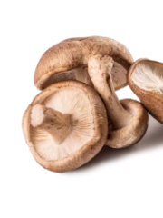 Shiitake
