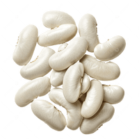 White Kidney Bean